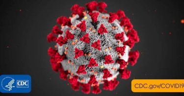 2019-coronavirus - COVID-19 Recovery, Treatment and Prevention
